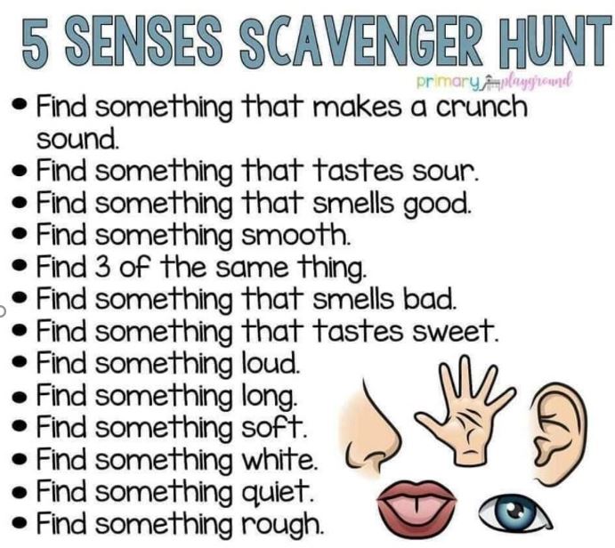 senses-scavenger-hunt-scholes-elmet-primary-school-leeds